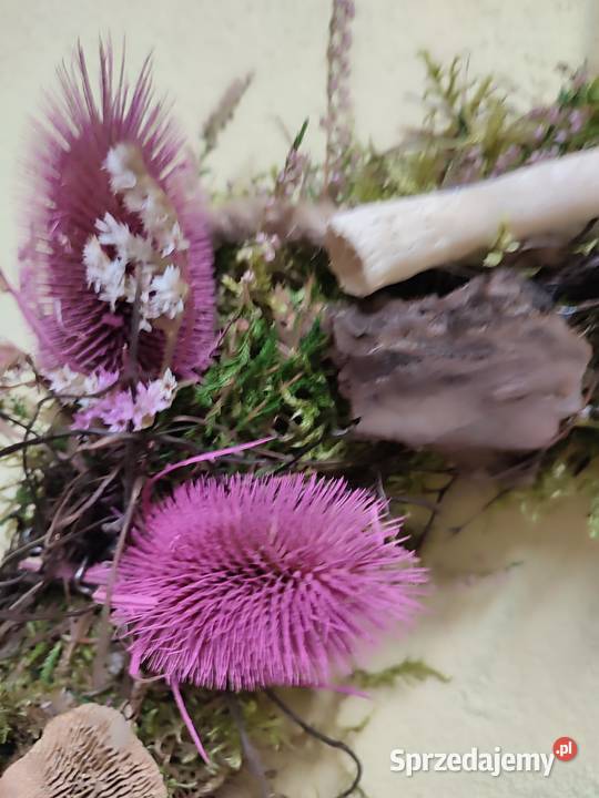 Wianek jesienny naturalny Sosnowiec