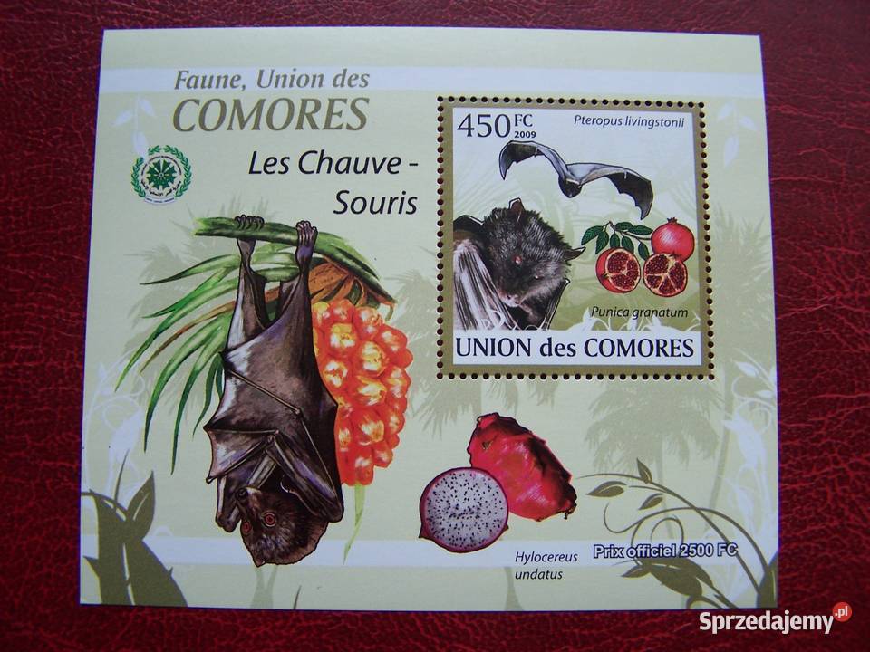 Komory 2009 MNH Fauna Nietoperze Nakład 2500 śląskie Tychy