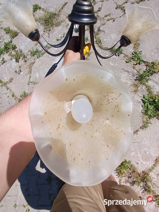 Żyrandol trzy ramienny kłos dolnośląskie Jelenia Góra