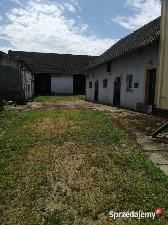 Dom z zabudowaniami gospodarczymi gospodarstwo