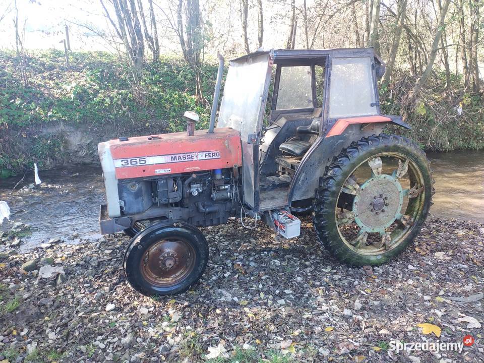 Massey Ferguson 365 Nowy Targ