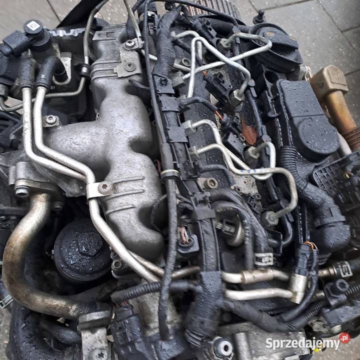 Audi A4 B8 A5 Seat Exeo 20 TDi silnik kompletny Rok produkcji 2009