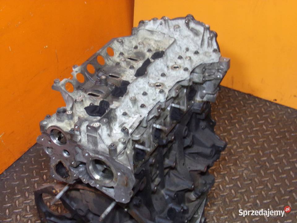 TRAFIC VIVARO PRIMASTAR 20 DCI EURO 5 12r 114 Suków