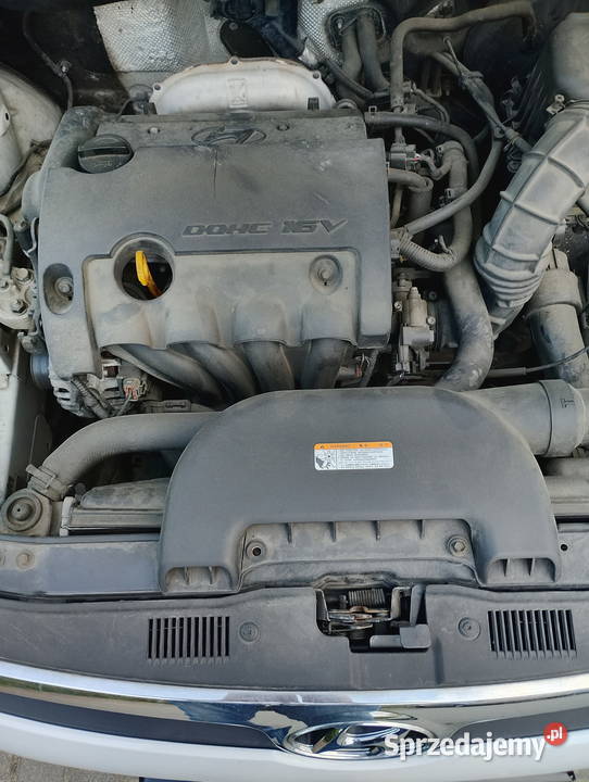 Hyundai i30 16 benzyna 231 2009r 1396cm3 Toruń