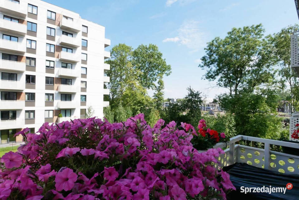 Wybickiego 2 pokoje balkon garaż komórka