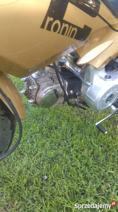 Zumico Ronin 2 Czemierniki