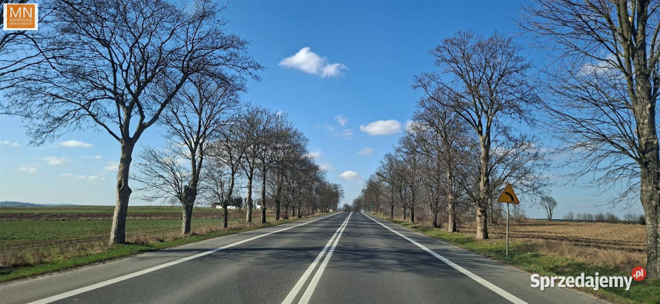 Działka PrandocinIły 2600m2 budowlana