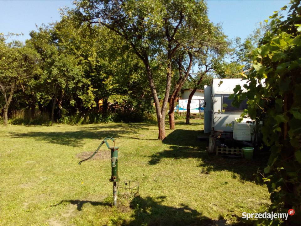 Działka ROD na tyłach Wola Parku mazowieckie Warszawa