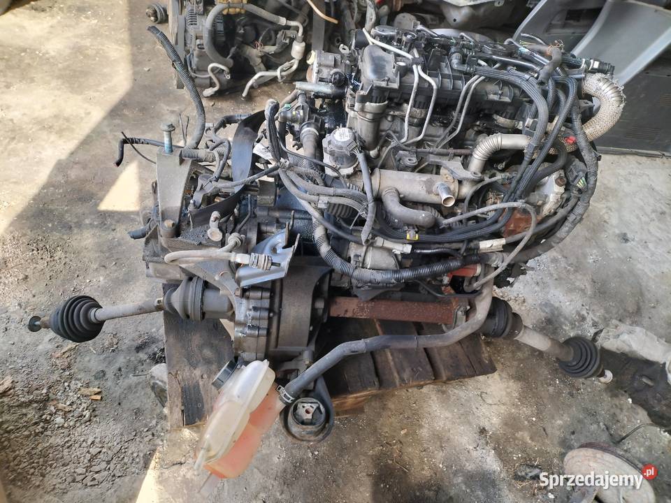 FORD FOCUS C MK1 16 TDCI SKRZYNIA BIEGÓW SILNIK osobowe Pozostałe Kamień-Kolonia
