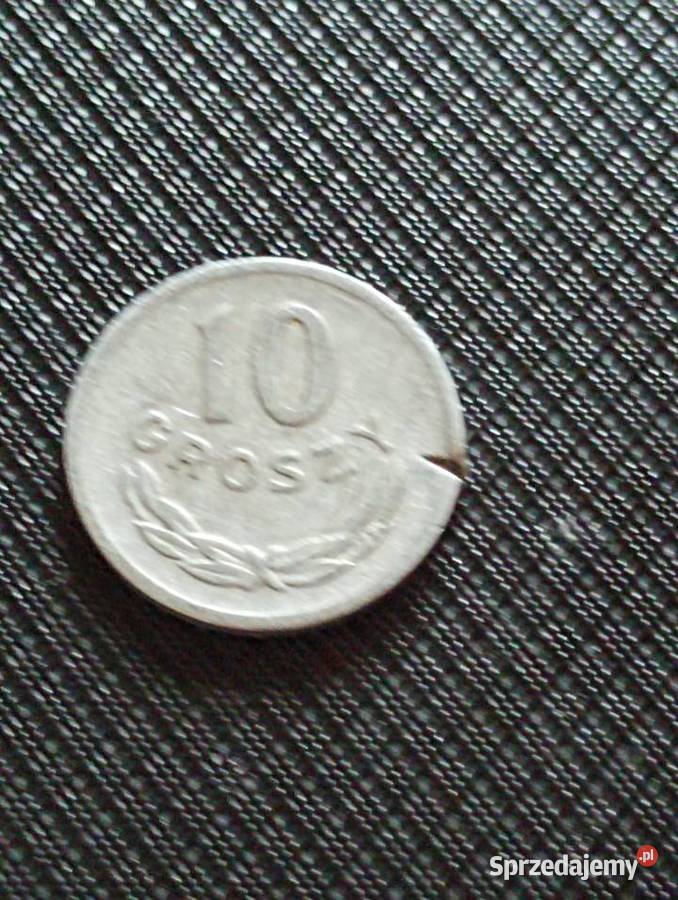 Sprzedam 10 gr 1949 r bzm Chełm