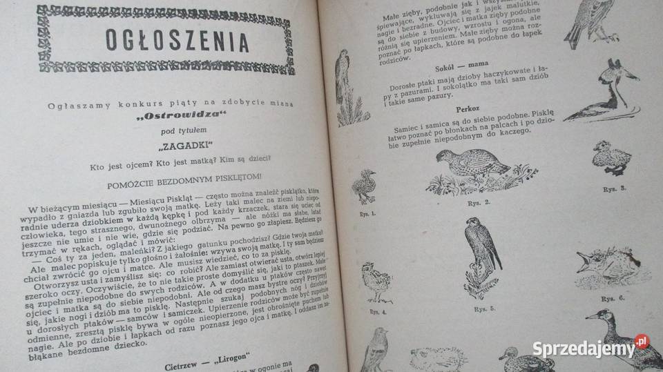 Puc Bursztyn i Goście JGrabowski lektura szkoła Książki dla dzieci Łódź