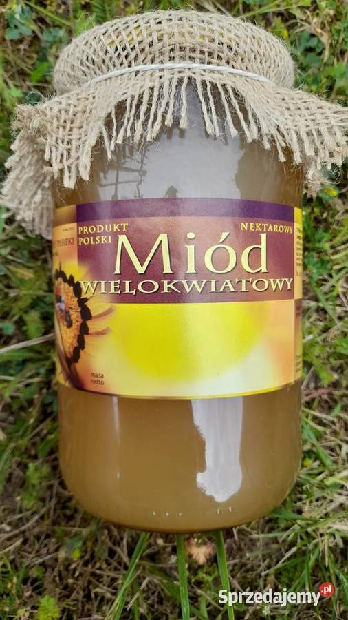 Miód Wielokwiatowy SPADZ LISCIASTA zbiór 2023 Miody i produkty pszczele opolskie Sarny Małe