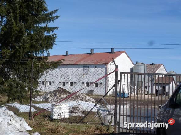 Syndyk sprzeda udział 38 w prawie własności Pielgrzymowo