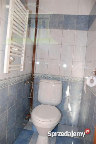 dom wolnostojący 13100m2 Ziemięcice sprzedam