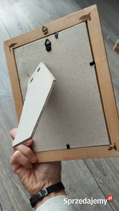 obraz obrazek dekoracyjny biedronka Poznań