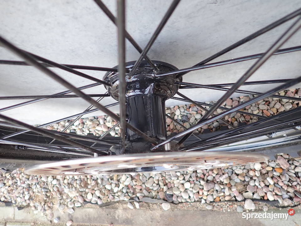 Koło Przód 21 x 160 Takasago Malowane Tarcza Strzelce Krajeńskie