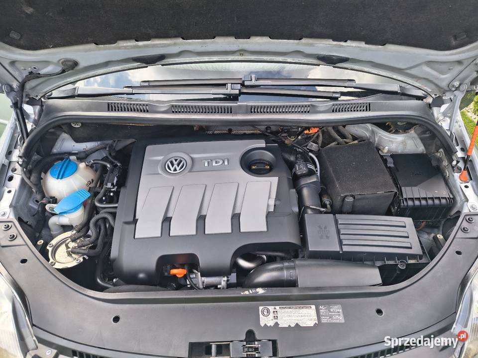 Volkswagen Golf plus 2010 LIFT 16 TDI cr Van / Minibus Śrem