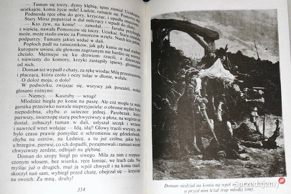 Stara baśń Powieść z IX wieku Józef Ignacy Rok wydania 1989 sprzedam