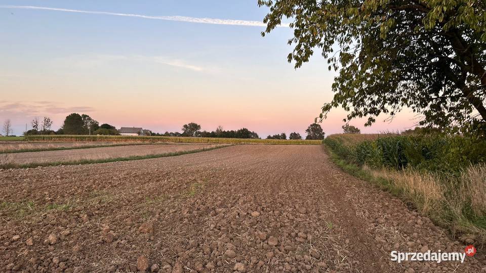 Dom jeziora Łochocin