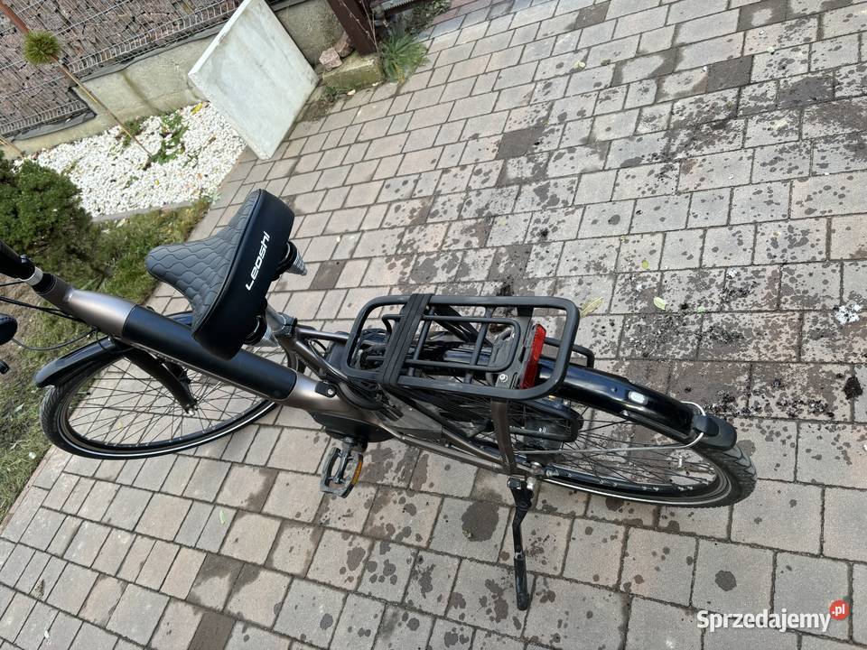 Rower elektryczny zmieni właściciela Gazelle Lubin