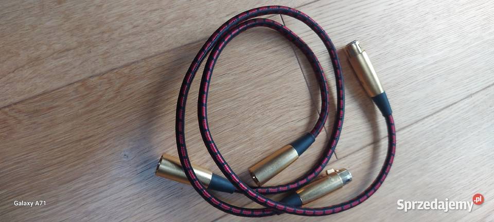 Audioquest Coral XLR złocone wtyki zamiana