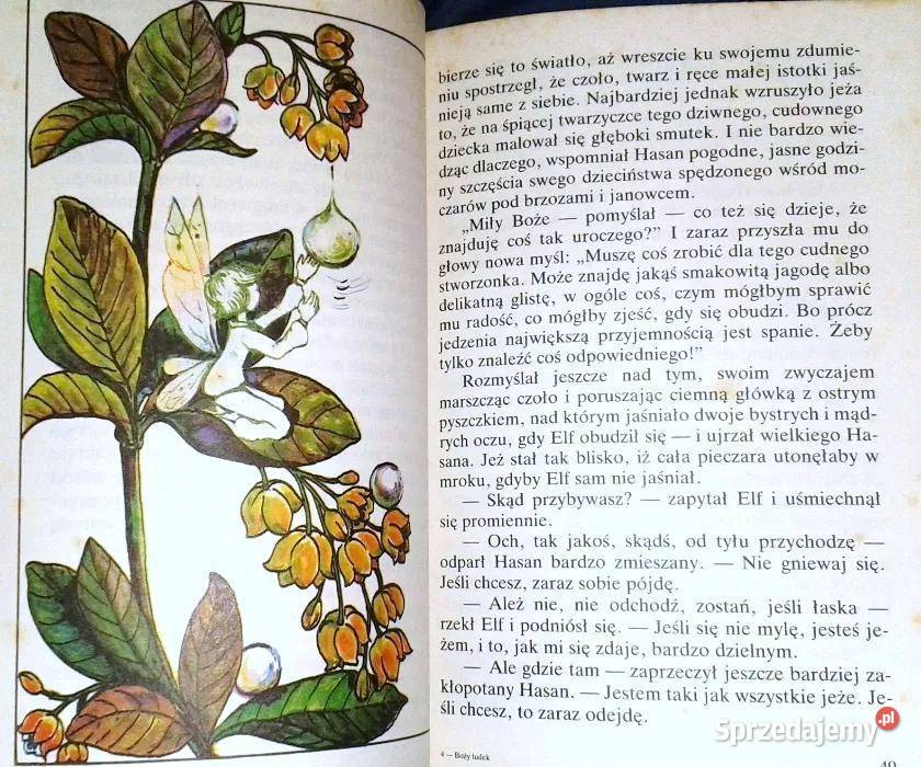 Boży ludek Waldemar Bonsels lubelskie Chełm sprzedam