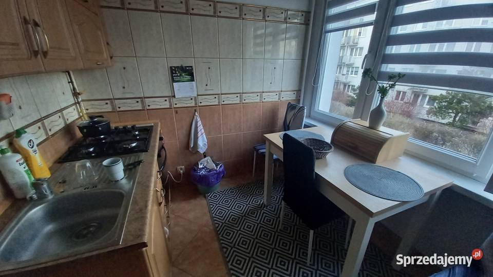 Mieszkanie parku wynajm 3 pokjowe taras