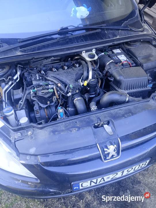 Peugeot 307 HDi 20 nieuszkodzony 307 Pamiętowo