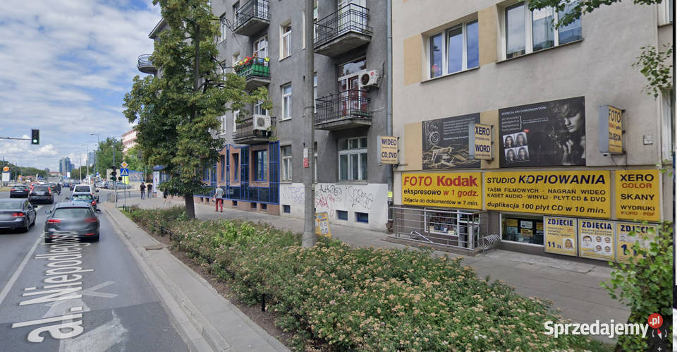 Zdjęcie do dowodu paszportu 11 Kodak Foto Studio Warszawa