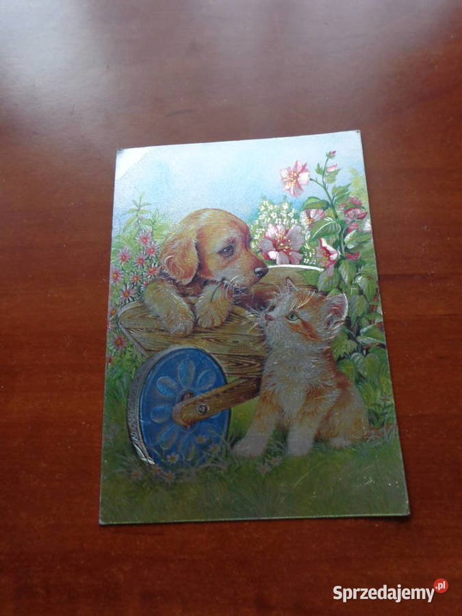 pocztówka błyszcząca czysta Poznań