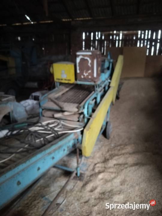 Sortownik do ziemniaków nieuszkodzony Miłochniewice