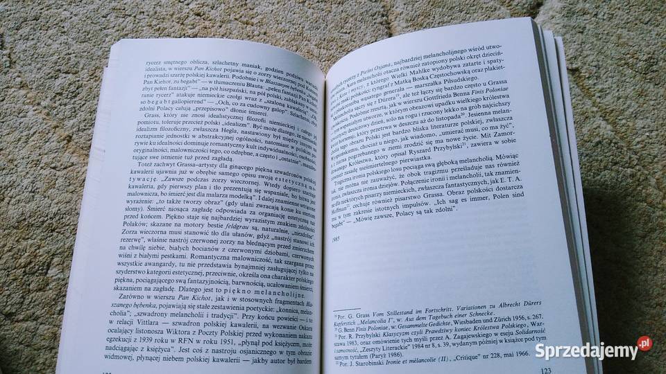 Projekt krytyki fantazmatycznej szkice o egzyst Gdańsk sprzedam