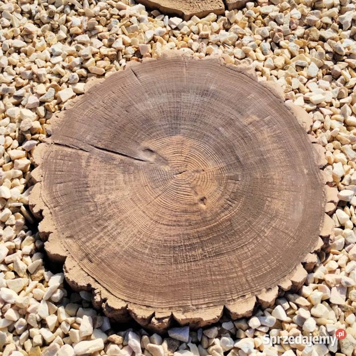 Płyta ogrodowa Pniaczek efekt drewna trwałość Żelichów sprzedam
