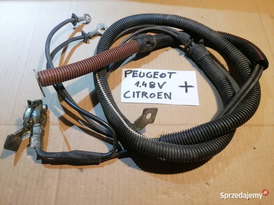 przewód plusowy 14 8V PeugeotCitroen Piotrków Trybunalski