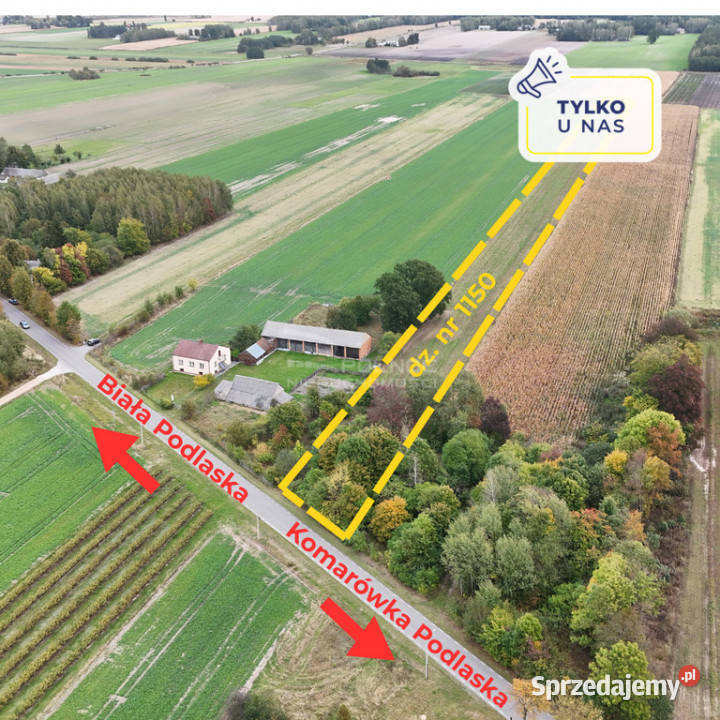 Działka 145ha z możliwością zabudowy Kolembrody lubelskie