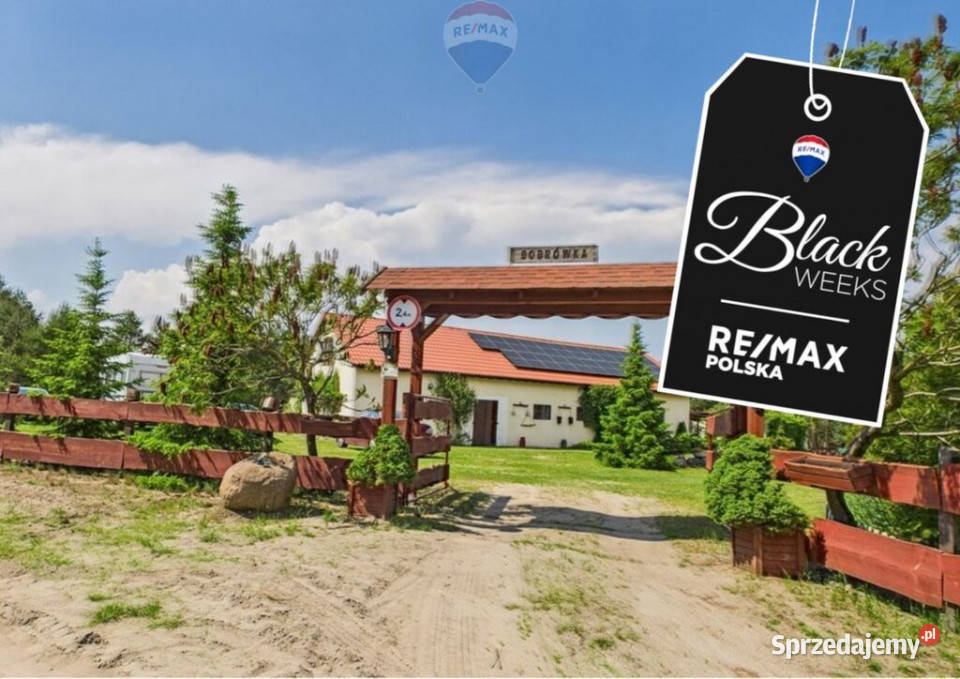 Ranczo w lesie z wyspą stawem basenem stajnią Gnojno