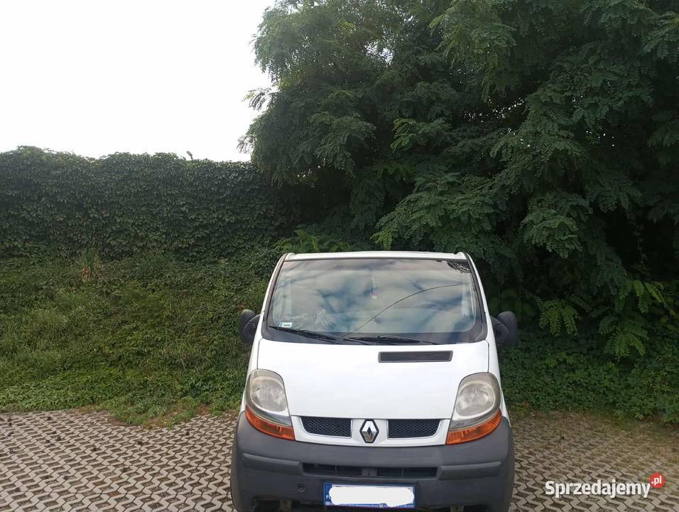 Renault trafic 19 dCi 2002 r Trzebownisko