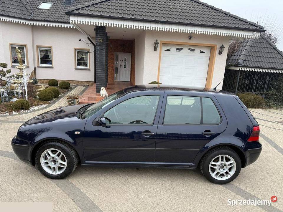 Volkswagen Golf 16 Basis 100 1999r Krotoszyn