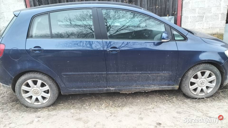 Volkswagen Golf plus Miechów