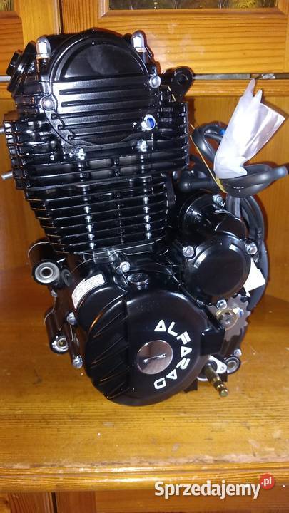 Nowy Silnik 250cc 172fMM do Alfarad Diabolini manualna Pozostałe Dynów