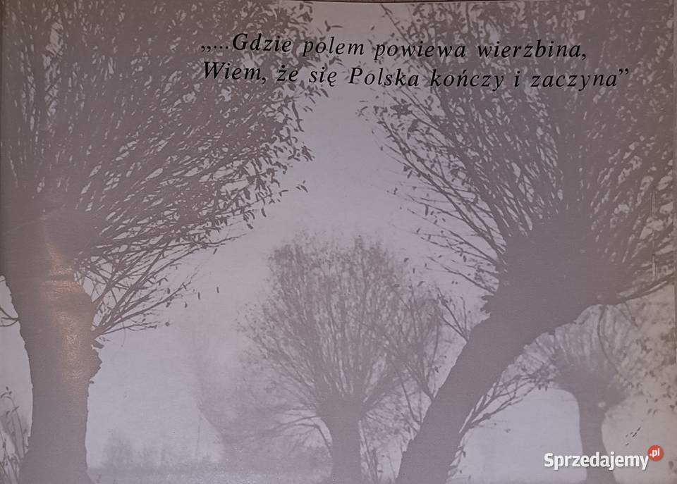 Wierzby Edward Hartwig Warszawa 1989 Sport i Pozostałe Kraków sprzedam