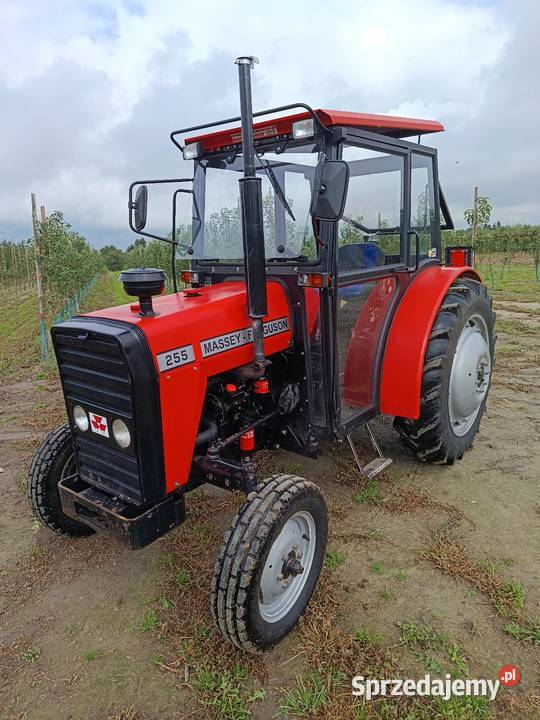 MF Massey Ferguson 255 sadowniczy 3502