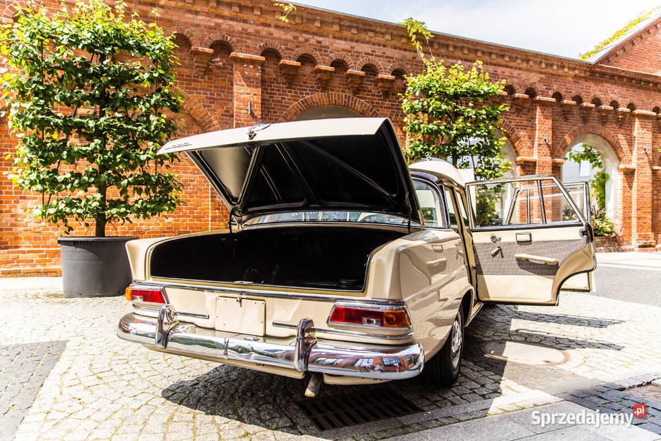 W 110 pełnej renowacji nieuszkodzony Pabianice