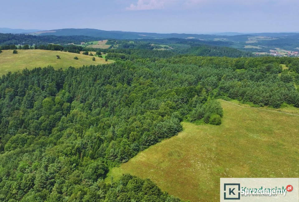 sprzedaży działki Łukowe 19327m2 leśna sprzedam