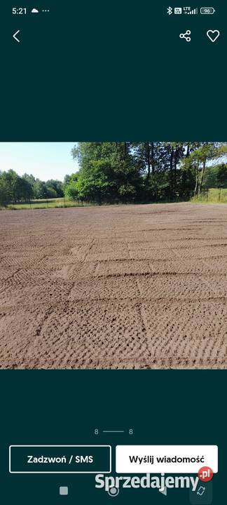 Ogrodytrawnikisianie trawy Dąbrowa Górnicza ogród