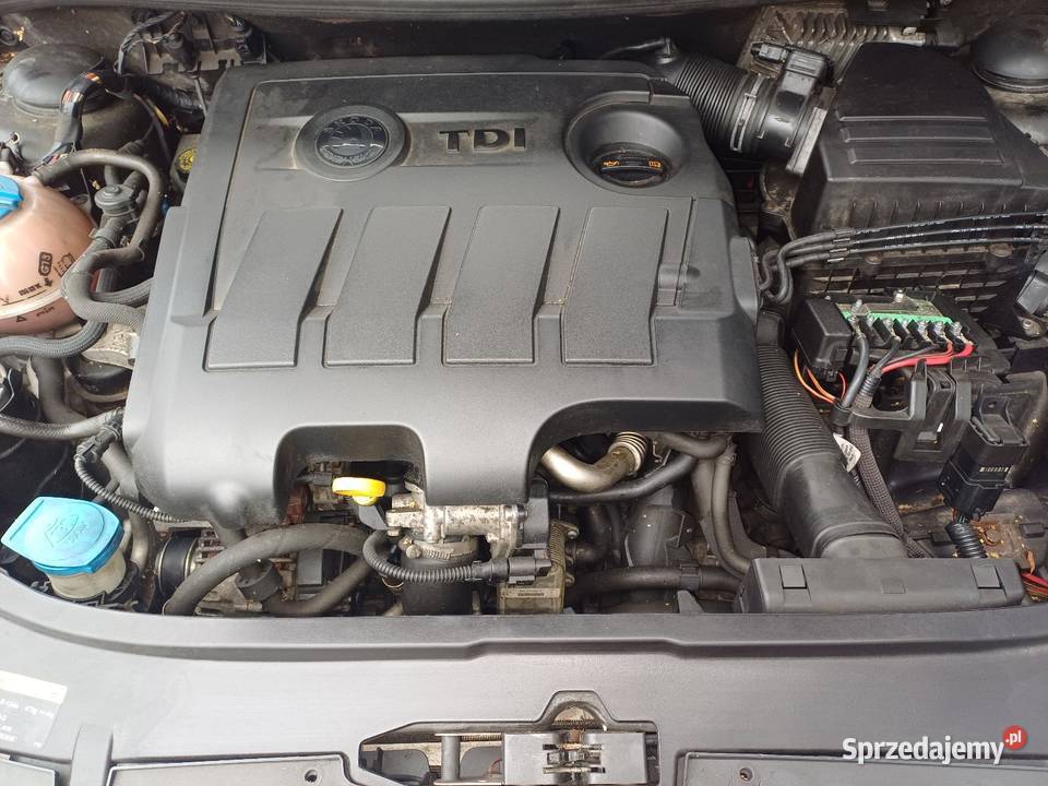 Na części Skoda Roomster Scout osobowe śląskie Żory