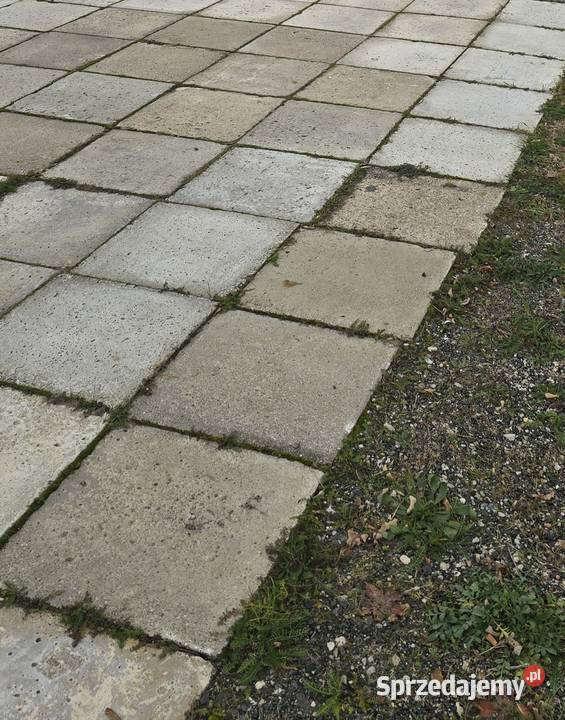 Płyty chodnikowe 50x50 Bełchatów sprzedam