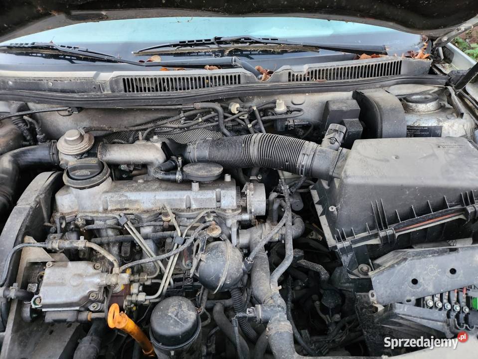 Golf 4 19 tdi alh na części części Bychawa