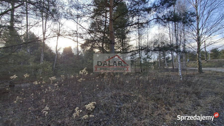 sprzedaży działki Krzaki Czaplinkowskie 32698m2 Sprzedaż