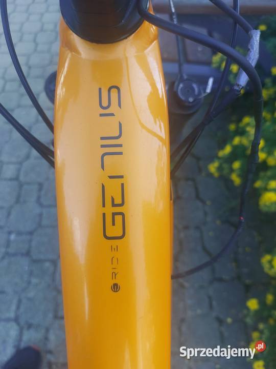 Scott Genius 930 ebike sprzedam